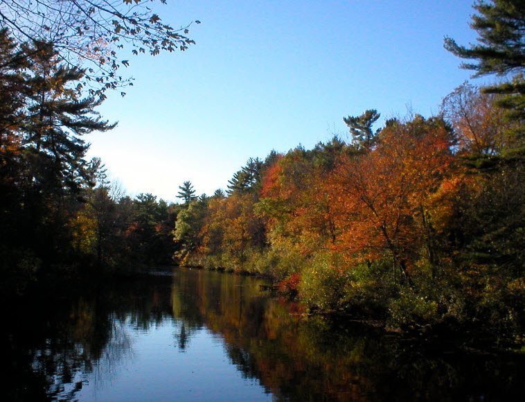 Bradley Palmer State Park, Massachusetts, USA
